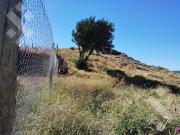 Terreno en Barrio Manzanos