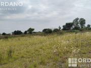 Terreno en Barrio Palmar casas y galpón