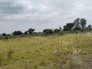 Terreno en Barrio Palmar casas y galpón