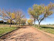 Terreno en Barrio Privado El Paso