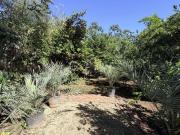 Terreno en Barrio Santiago, en el centro de Mérida