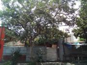 TERRENO EN BOCA DEL RIO, VER