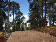 Terreno en Boskania ubicado dentro Bosque de Atemajac de...