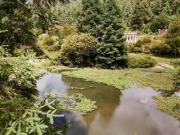 Terreno en Bosque 1500 m² en Venta – Mineral del Monte,...