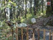 Terreno en Bosque de 564 m² en Venta – Oportunidad Única