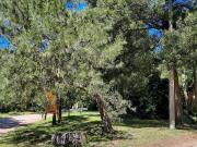 Terreno en Bosque Peralta Ramos