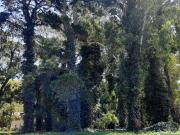 Terreno en Bosque Peralta Ramos