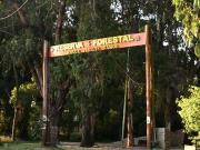 Terreno en Bosque Peralta Ramos