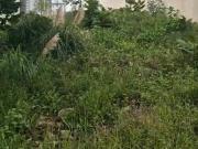 Terreno en Bosque Real