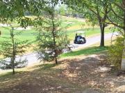 Terreno en Bosque Real
