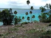 TERRENO EN BUENAVISTA