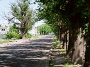 Terreno en Calle 25 de Mayo Escritura inmediata