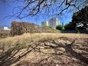 TERRENO EN CALZADA DE LOS REYES
