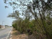Terreno en carretera merida progreso