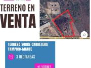 Terreno en Carretera Tampico Mante