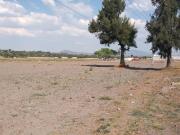 Terreno en Carretera Tecamac Zumpango, Los Reyes Acozac....