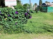 Terreno en Carrizales, Clarke con escritura