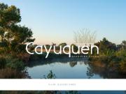 Terreno en Cayuquen Barrio Privado de Chacras