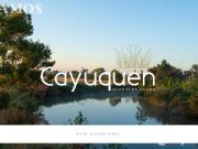 Terreno en Cayuquen Barrio Privado de Chacras