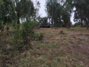 Terreno en Cerro Amigo