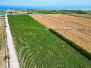 Terreno en Chancay Terreno en Chancay