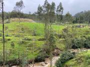 Terreno en Chiquintad. 14 mil metros