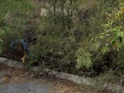 TERRENO EN CIENEGA DE FLORES
