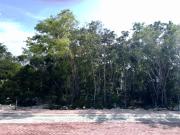 Terreno en Ciudad Maderas Península 1a. sección Mérida...
