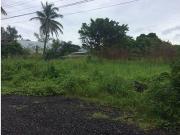 TERRENO EN COL. CAMPESTRE LAS BAJADAS, VER