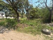 Terreno en Col. Campestre las bajadas Veracruz