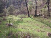 Terreno en Condado de Sayavedra