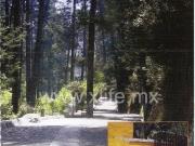 TERRENO EN CONDOMININIO EL OYAMEL, CONDOMINIO HORIZONTAL