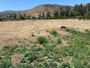 TERRENO EN CONDOMINIO ALTOS DE MARÍA PINTO ¡ TU...