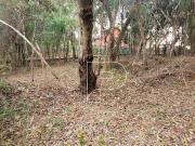 Terreno en Condomínio para venda em Do Carmo canguera em...