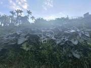 Terreno en Condomínio para venda em Granja Viana de 364.00m²