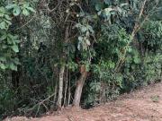Terreno en Condomínio para venda em Loteamento Capital...