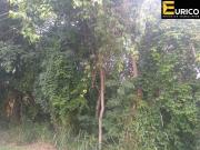 Terreno en Condomínio para venda em São Joaquim em...