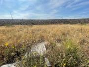 Terreno en Condominio San Lorenzo, Lomas del Campanario...