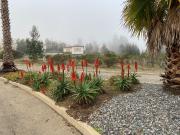 Terreno en condominio Santa Augusta de Quintay