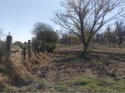 Terreno en Congregacion Corral de Barrancos