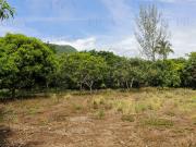 Terreno en Congregacion San Nicol?s