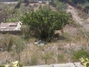 Terreno llano de 812m2 con caseta