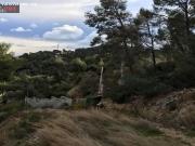 ¡TERRENO EN CUBELLES ZONA MAS TRADER!
