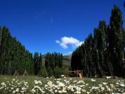 TERRENO EN DOS VALLES FINANCIADO