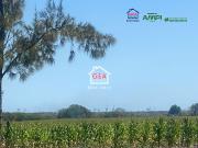 Terreno en Ejido Colonias Estaci?n Ejido en venta altamira