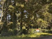 Terreno en el bosque de Peralta Ramos