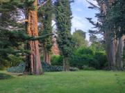 Terreno en el Bosque Peralta Ramos 1er Lote Hermoso entorno