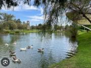 TERRENO EN EL CAMPESTRE
