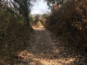 Terreno en El Desarenador, Zacango, Villa Guerrero