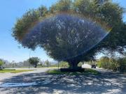 TERRENO EN EL EDEN, LO MEJOR DEL SUR DE LA CIUDAD